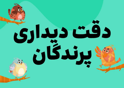 تمرینات دقت دیداری پرندگان
