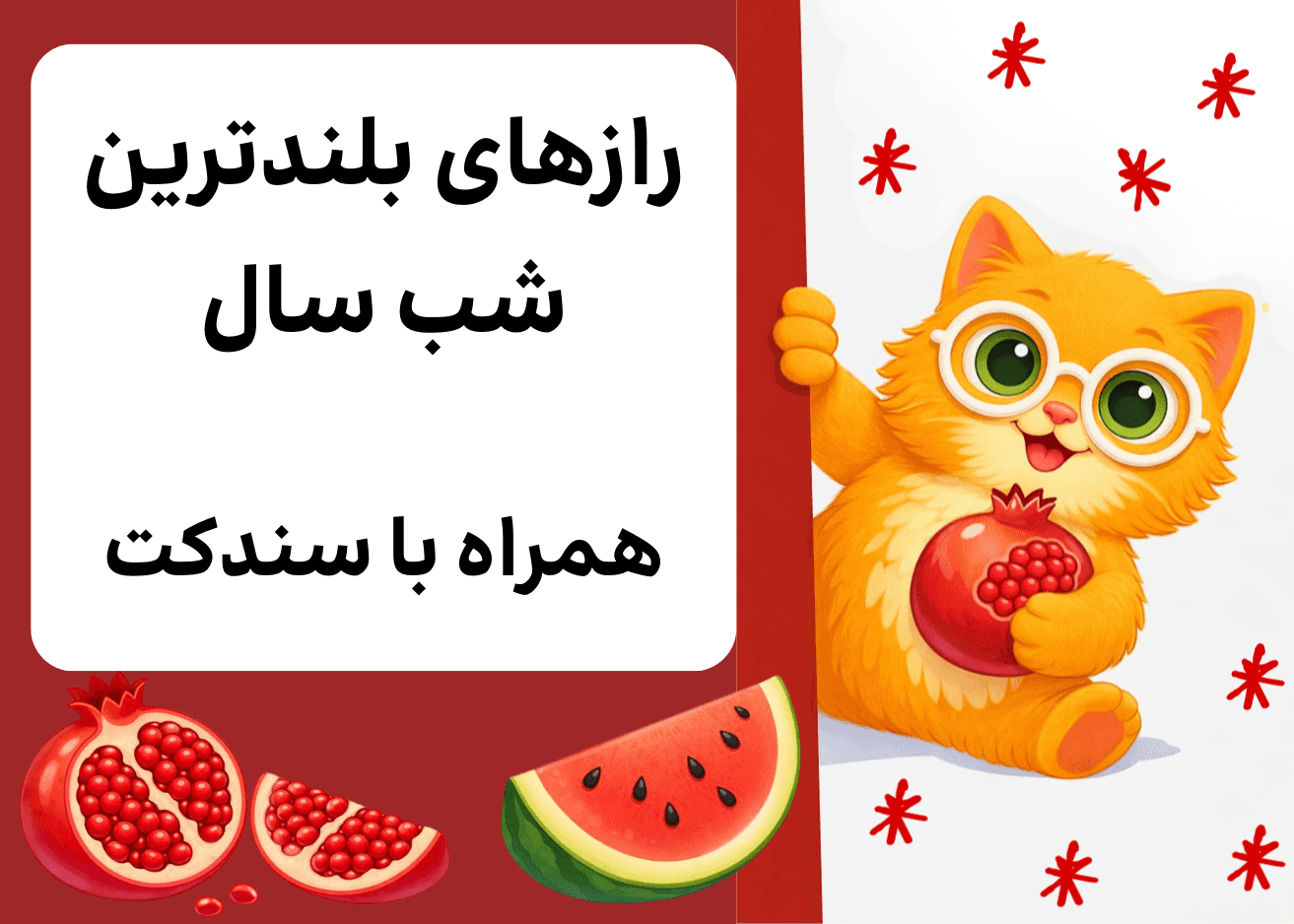 رازهای بلندترین شب سال همراه با سندکت