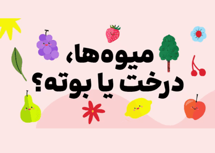 آشنایی با میوه ها ودرخت ها