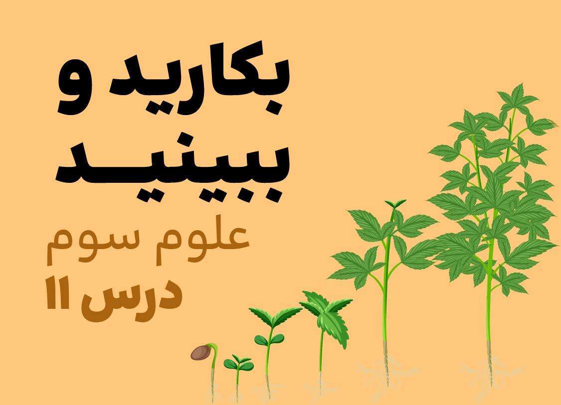 علوم سوم_درس یازدهم_بکارید و ببینید