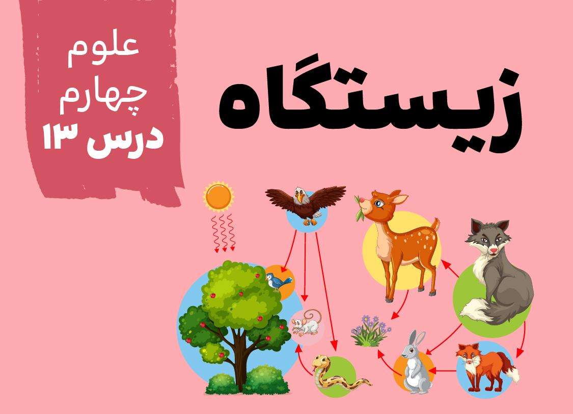 علوم چهارم_ درس ۱۳(زیستگاه)