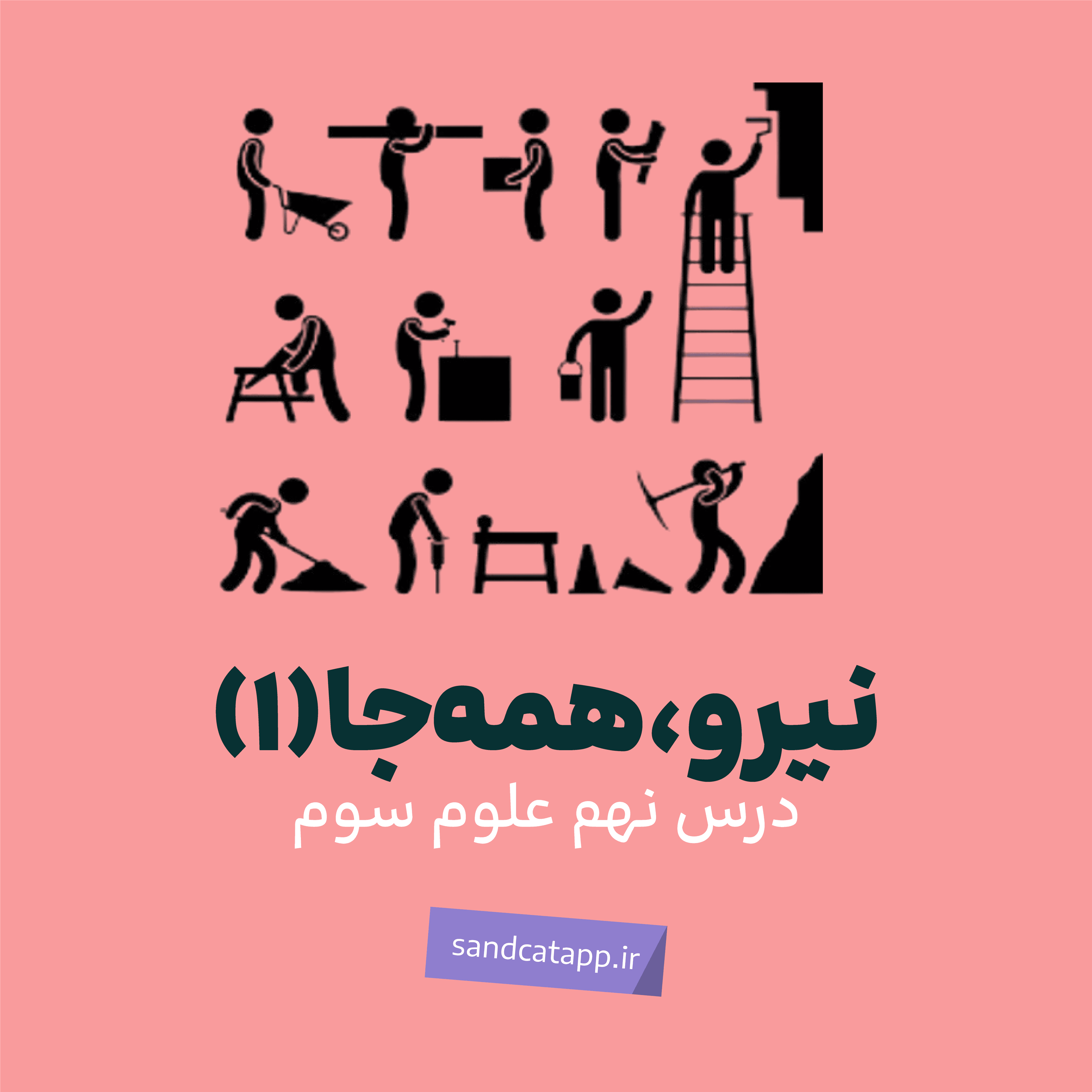 Activity Image