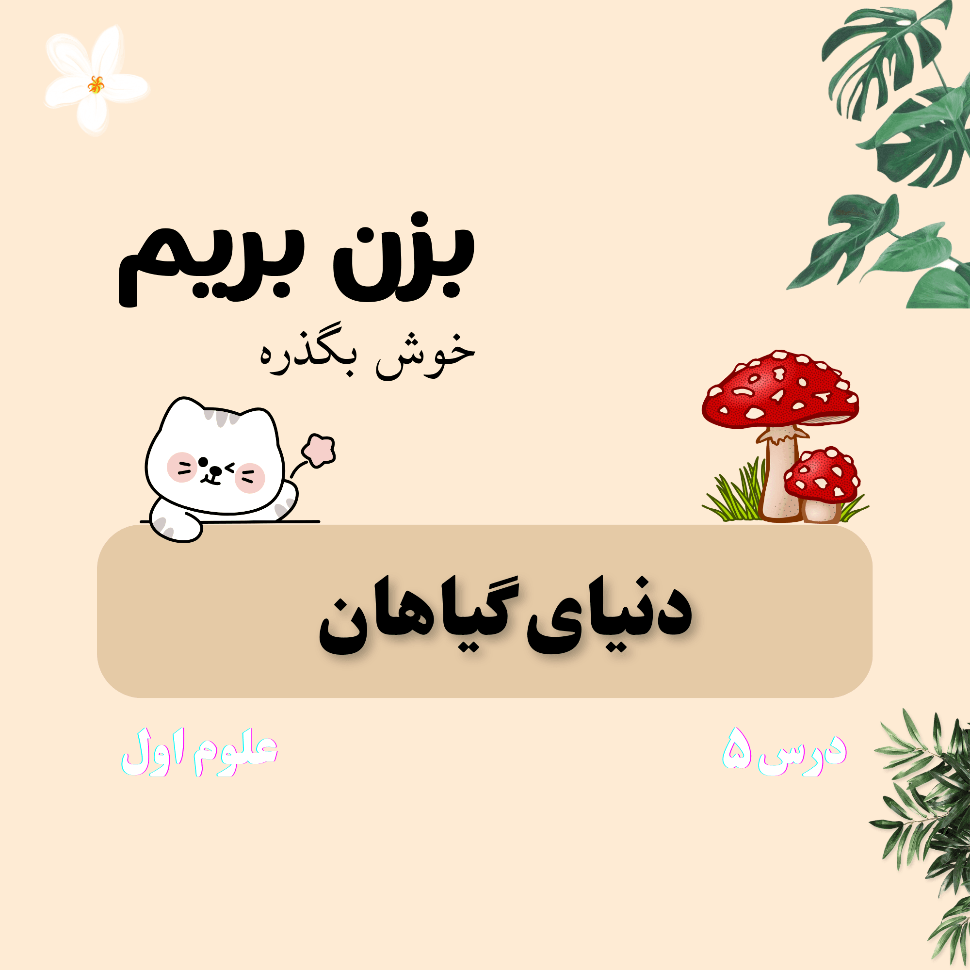 Activity Image